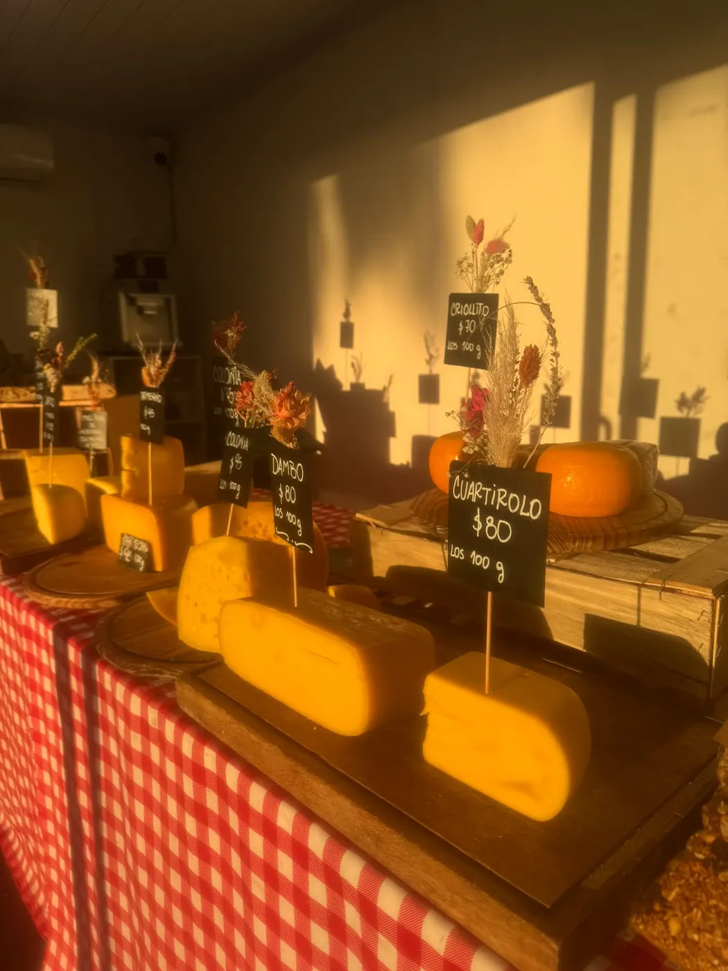 Mesa de quesos iluminada por el sol en el contenedor vidriado